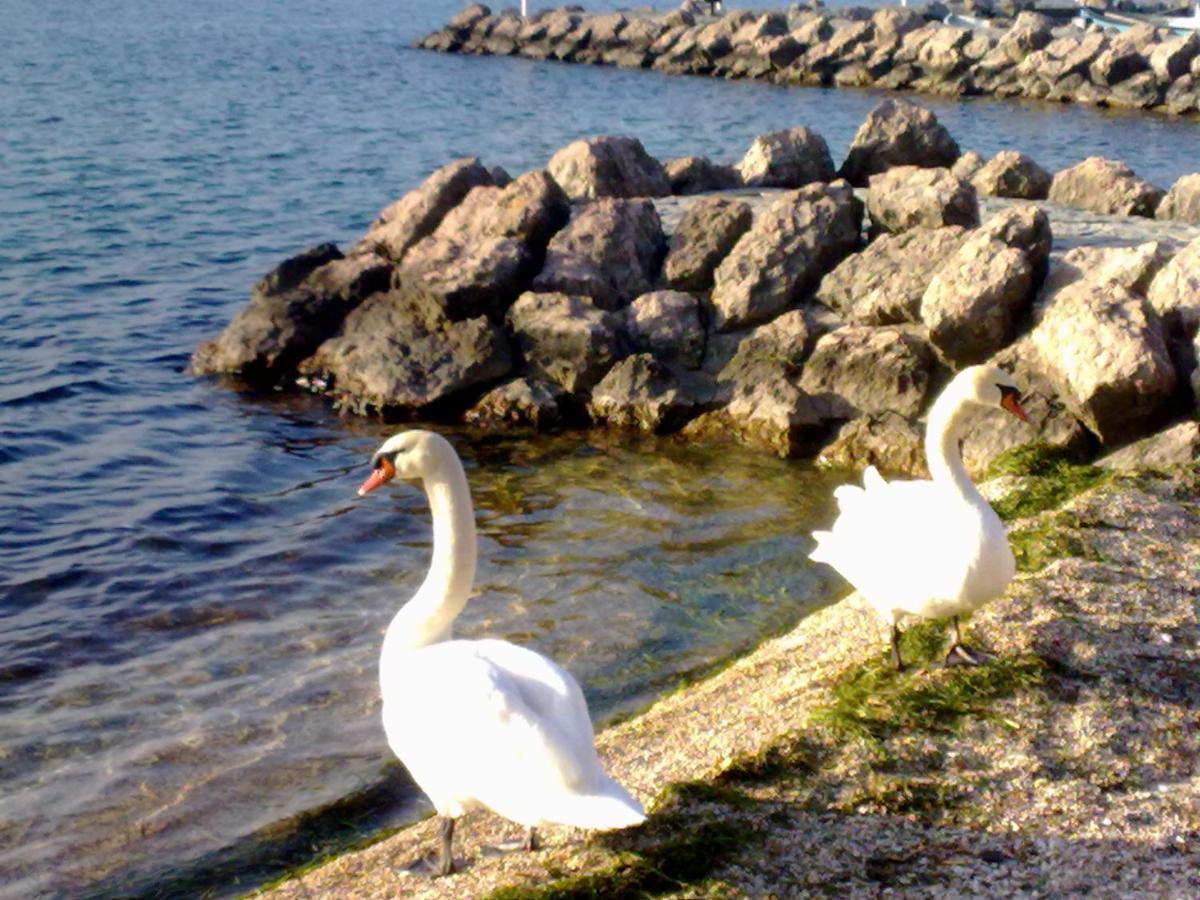Residenza Al Sogno - On Lake Garda 卡瓦翁贝罗内斯 外观 照片